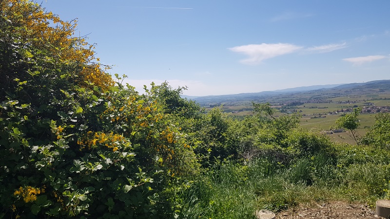 pas_de_photo