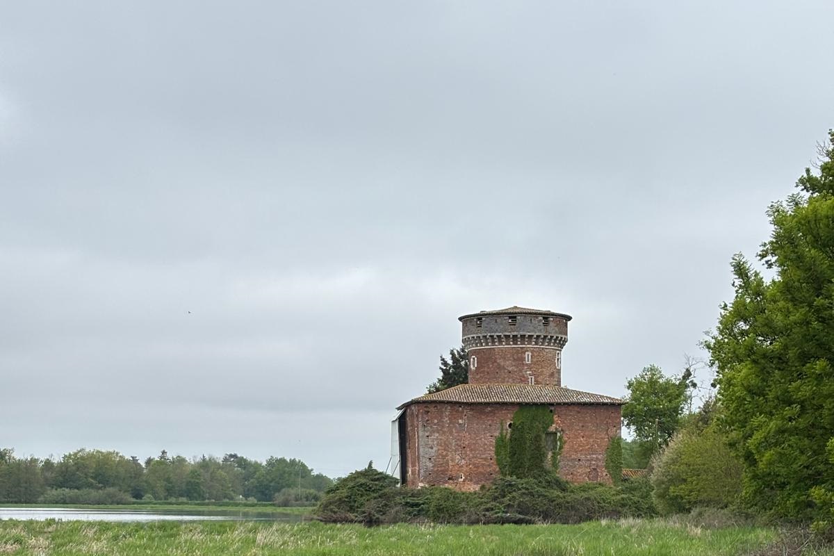 pas_de_photo