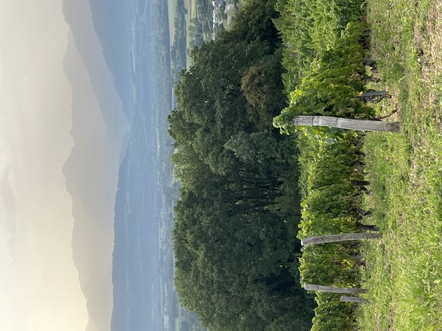 pas_de_photo